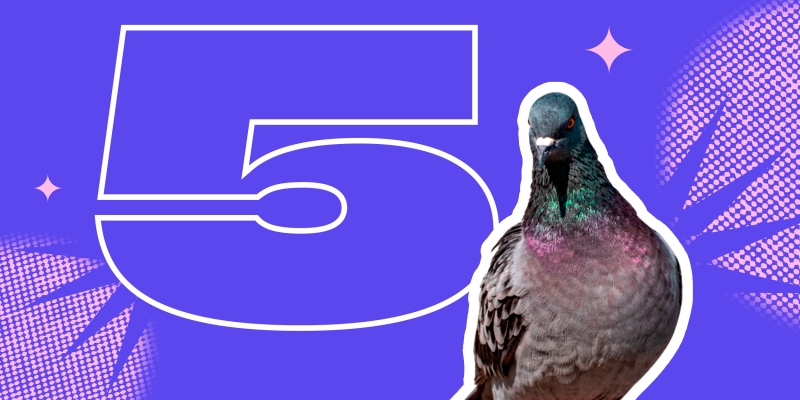 5 научных фактов о суевериях, которые помогают взглянуть на мир рациональнее
